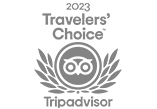 Tripadvisor Travel's Choice Award